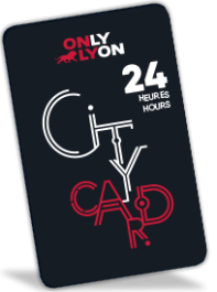 Lyon City Card 24 horas: Adulto